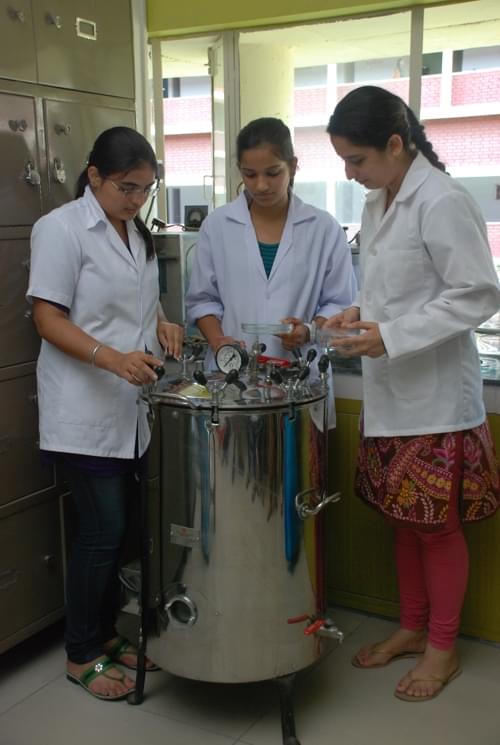 Mehr Chand Mahajan Dayanand Anglo Vedic College for Women Chandigarh Campus photo 5